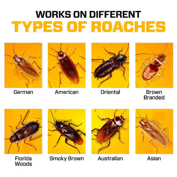 Natural Cockroach Killer Gel (BUY 1 GET 1 FREE)